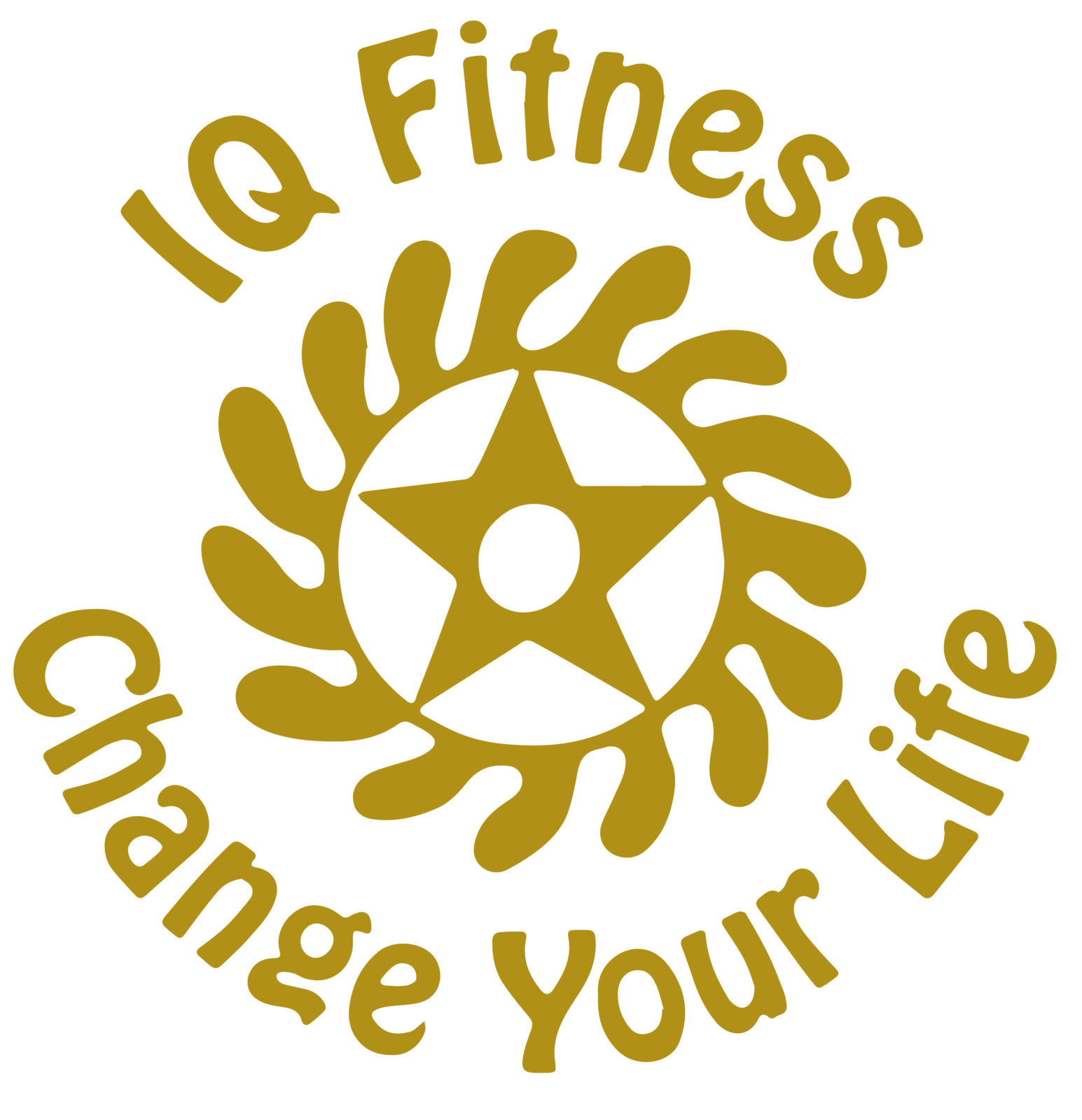 IQ Fitness logo – personal training and fitness coaching in London